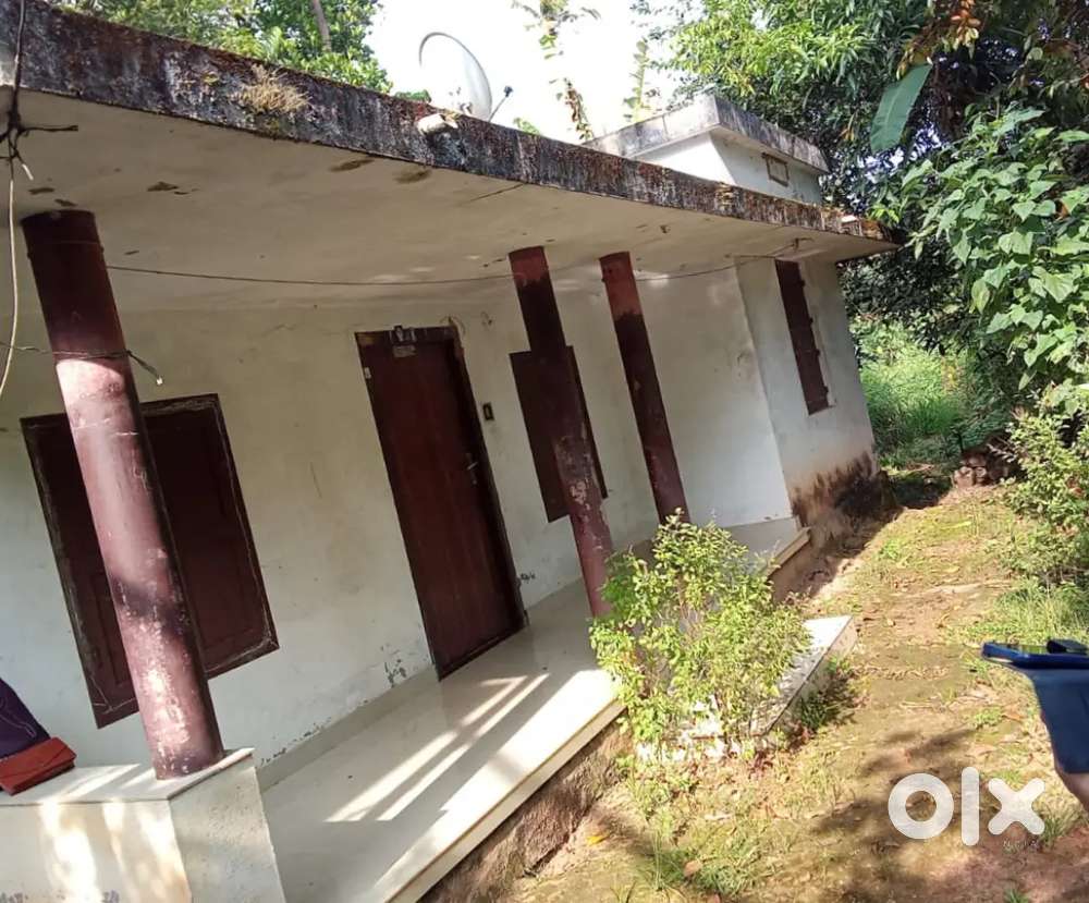 7¹/2 cent plot, a small neat house, 3bhk, 1 comm. Bath, kitchen, hall