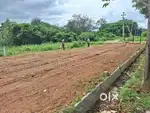 A-khata property
