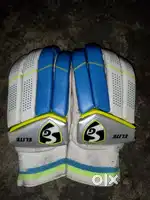 Rajput store