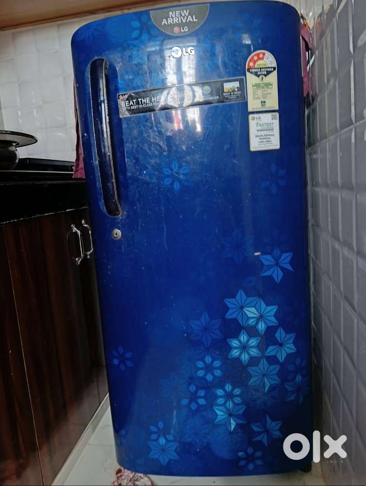 Refrigerator freez LG