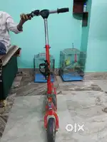 Scooter cycle