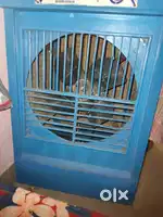 Only for bachelor who living in rent