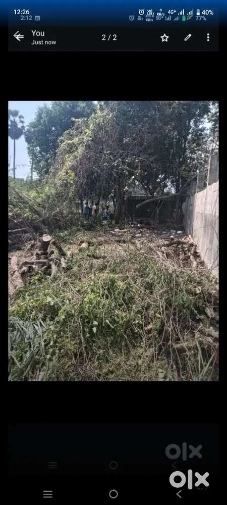 Sales our Registration land 242sq in Kakani _ Venigalla