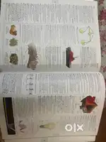 Oxford dictionary unused