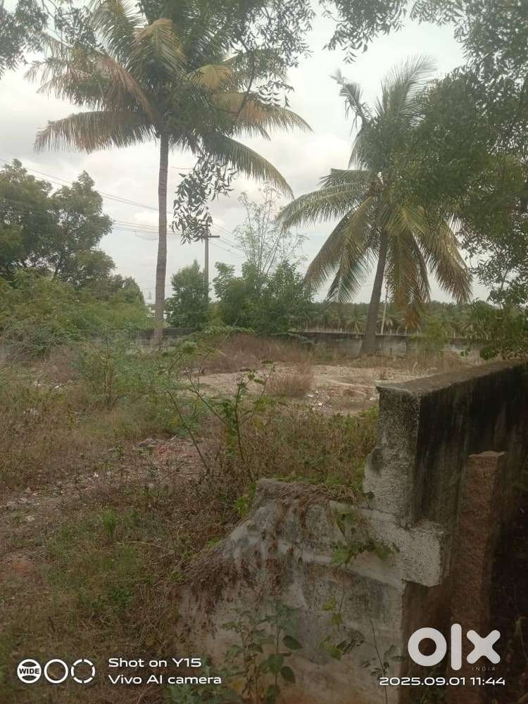 5.75 cents land with borewell at kankeyam palayam near sulur