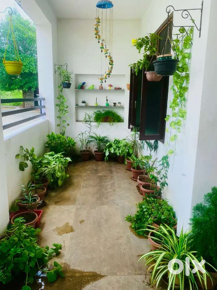 Vegetarians family allowed