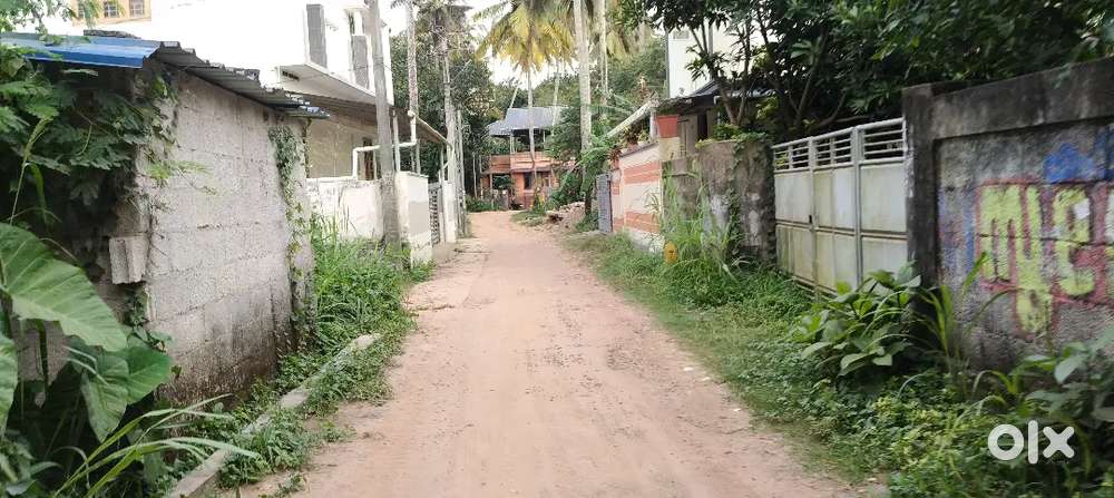 3 CENTS (OLD HOUSE) PRIME RESIDENTIAL PLOT FOR SALE NEAR ULLOOR