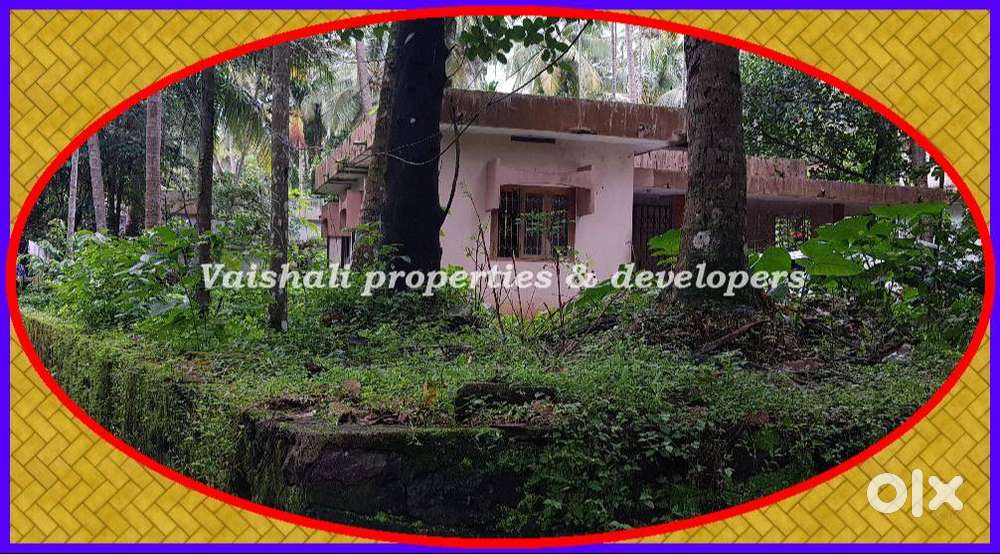 10 cents Residential Plot for sale in near Vengeri