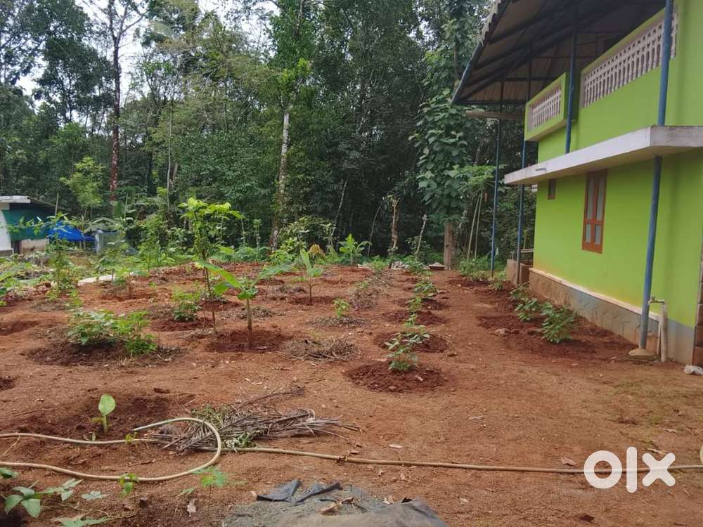 63 cent plot and old house for sale