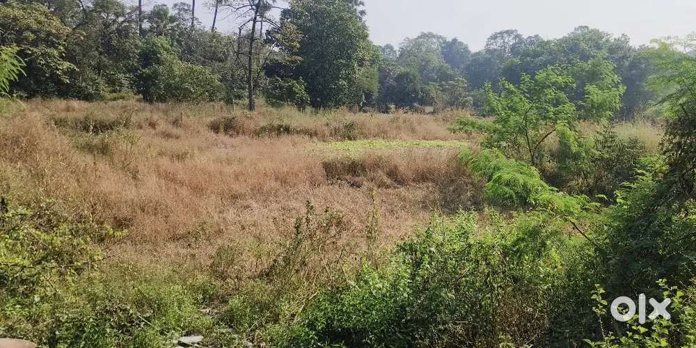 100 guntha 20 guntha & 12 guntha plots available in bhiwandi