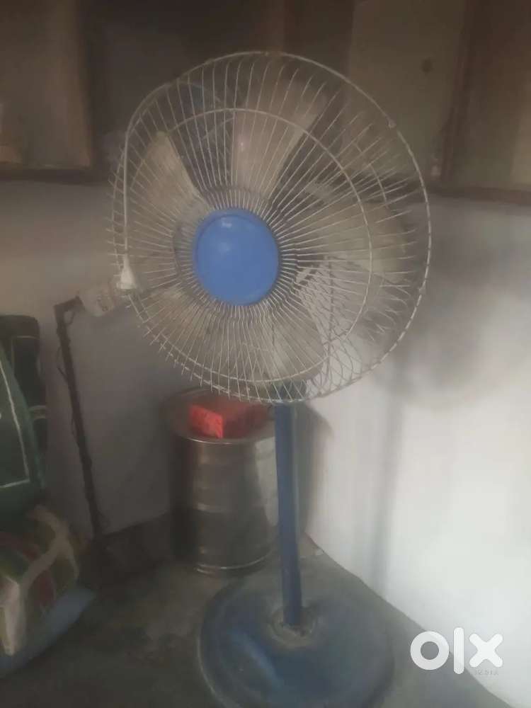 Table fan fan