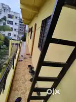 Duplex Row House