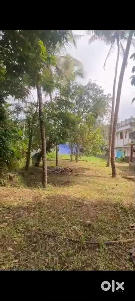 Land for sale including house highway side