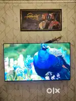 VU 65 Gloled tv