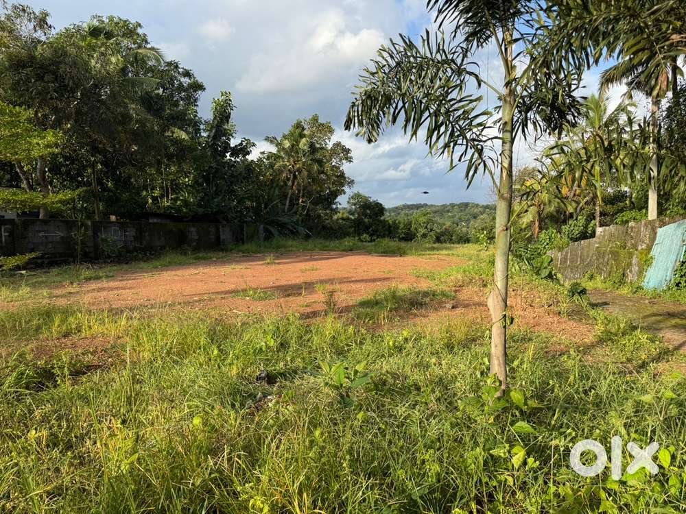 10,8,16,12 cent plots available in ezhukone and Nadallur