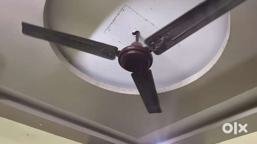 Ceiling fan