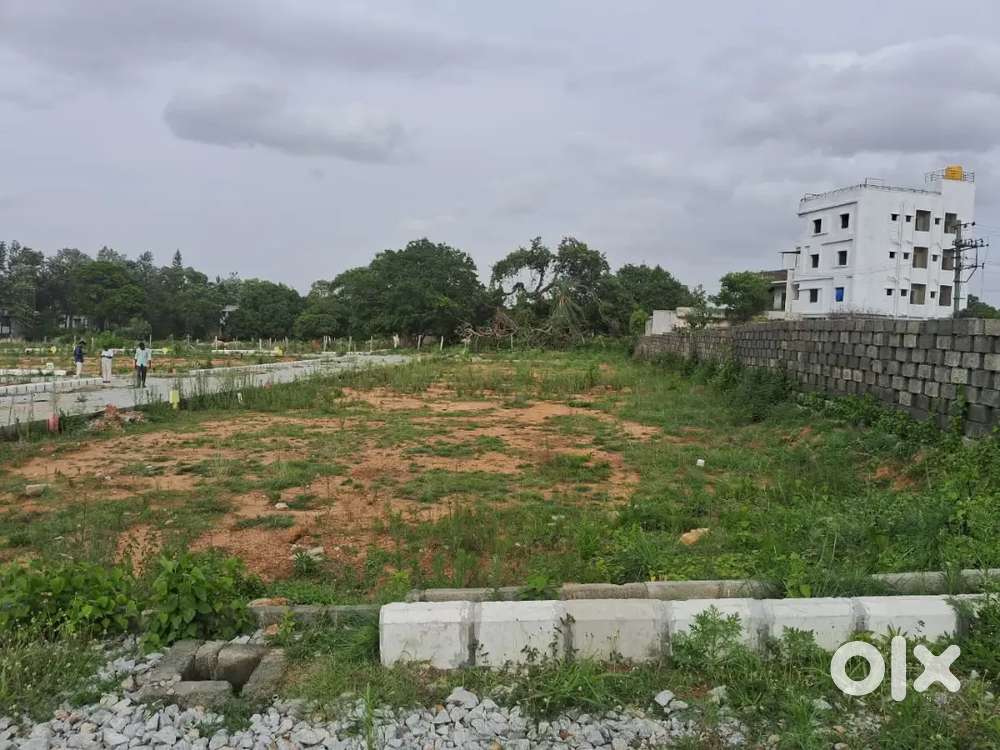 Plots for sale in koala gate