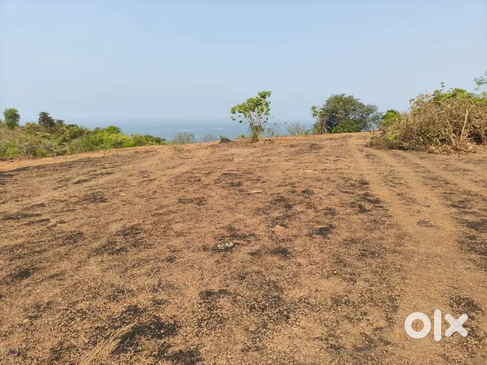 5000sqft shade on rent in MIDC