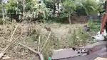 4 cent squre plot near Rajagiri hospital btr parambu