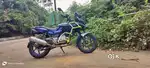 Pulsar 220F second owner  new tyre