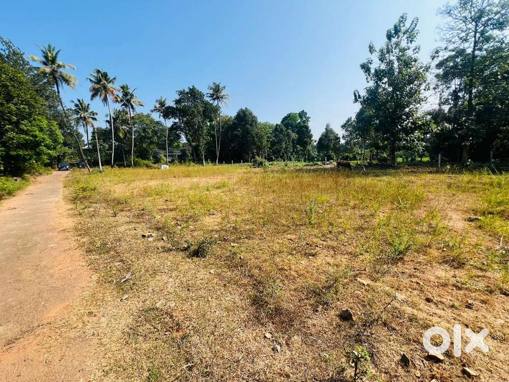19 cent land for sale near Kanjoor Parappuram