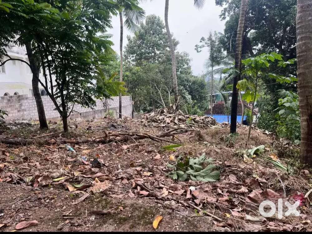 Prime Residential Land for  Sale in Kattela