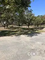 residential plotting for sale