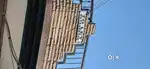 Independent 2bhk for rent at Kothi No, 504  Phase-1 Mohali