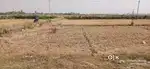 Plots sell by this land