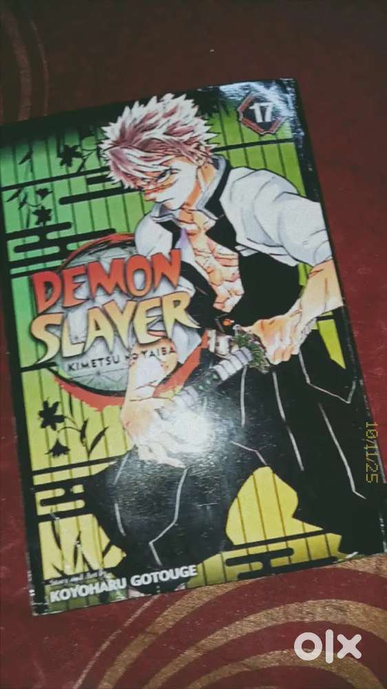 Demon Slayer Manga 17