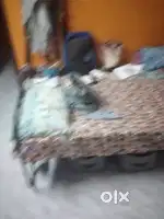 Double size cot