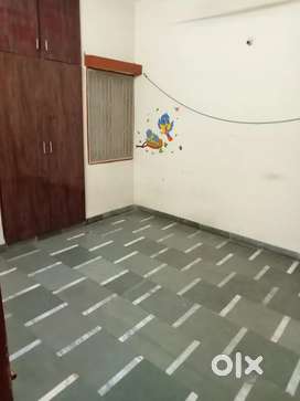 1 BHK flat for rent in New palasia near 56