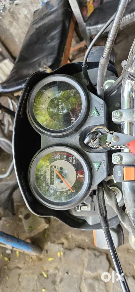 Black splendour plus