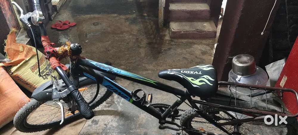 Gang cycle