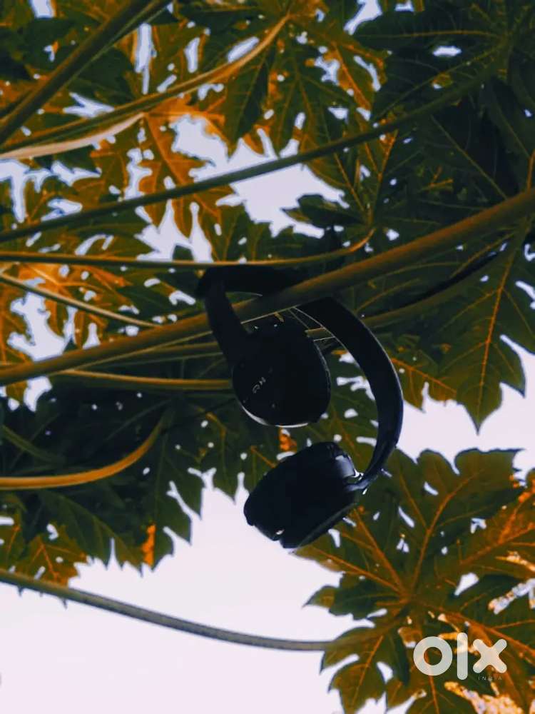 Willy's P47 Tru-Wireless