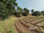 21.gunthe agricultural land for sell