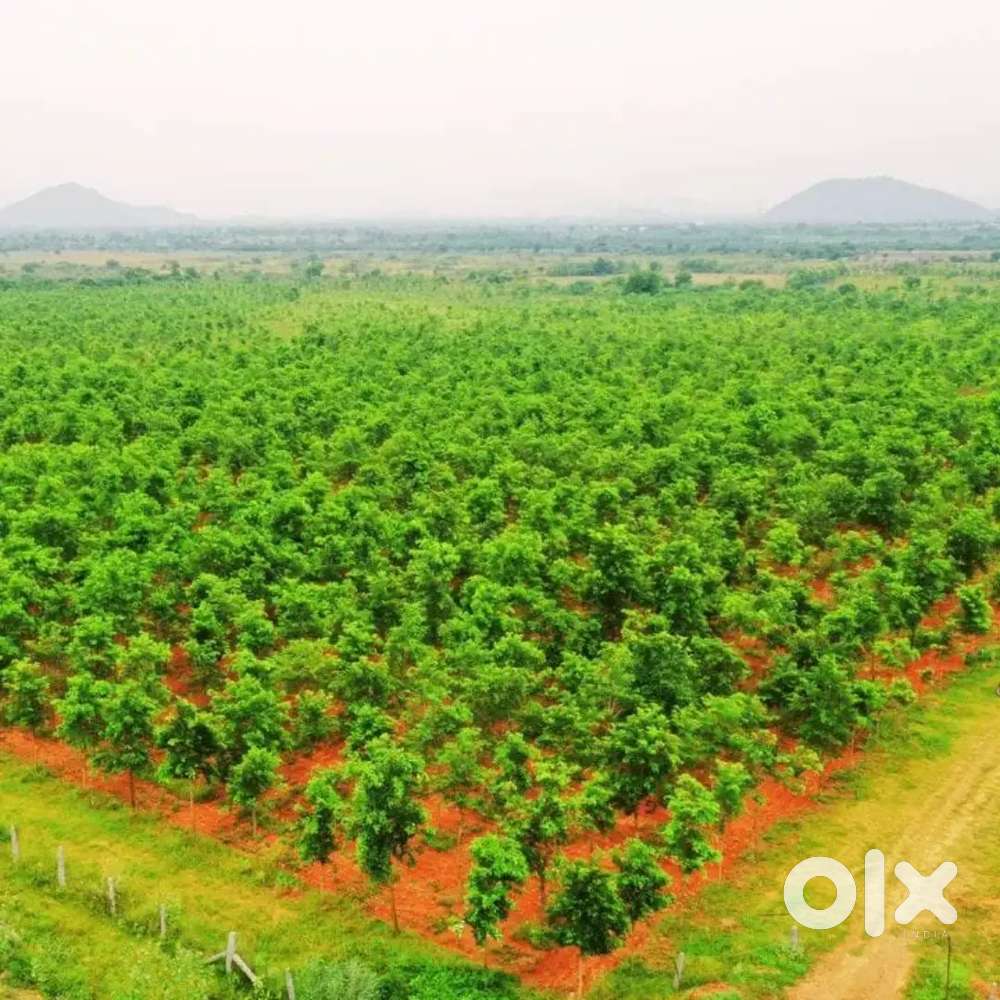 Farmlands for sale one Acre just 34 lakhs