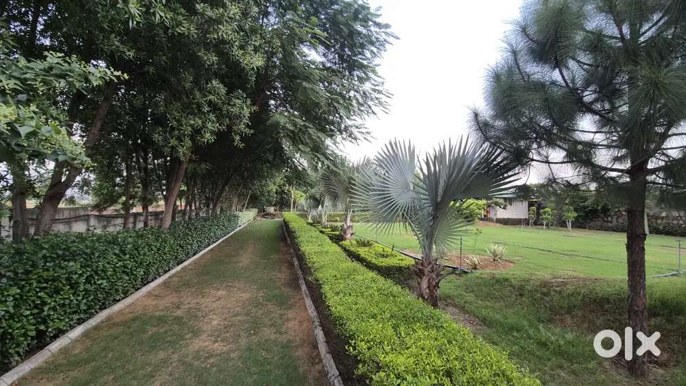 Mini farm house for sale raysina sohna