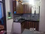 Need an urgent bachelor student