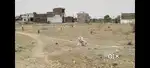 Location Karahiya Mandi road near pancham palace