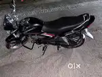 Honda Shine for Sell