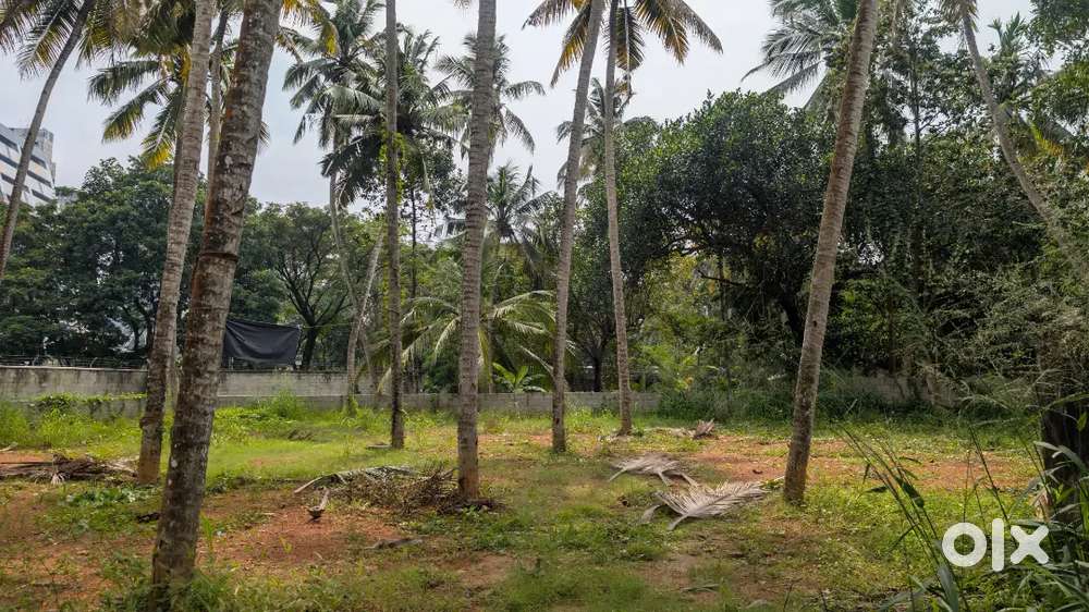 Plain Plot for near Technopark Phase III(24 cents)