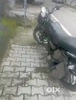 Single Bike owner