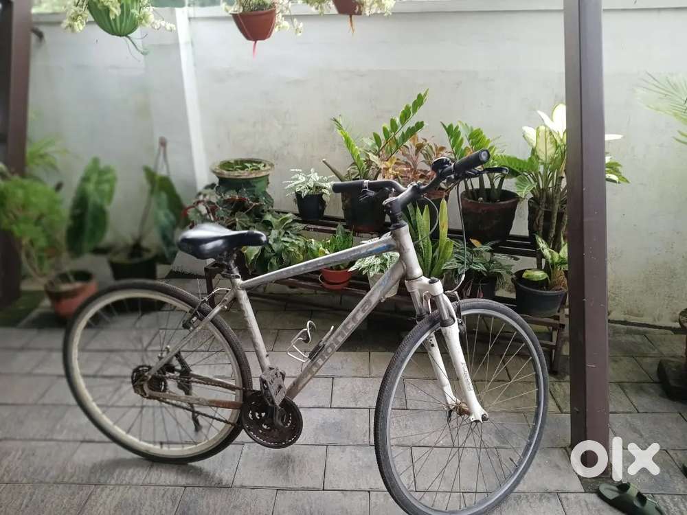 Montra vintage model limited edition