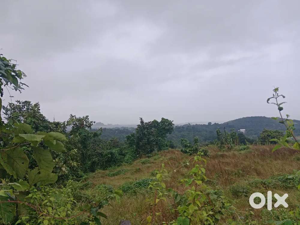 Agriculture plot for farmhouse and farming