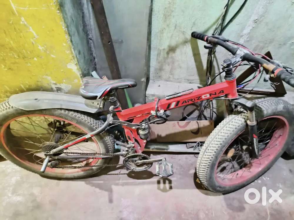 Arizona fat bike on sale price 8000