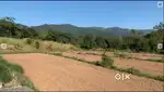 Land for rent