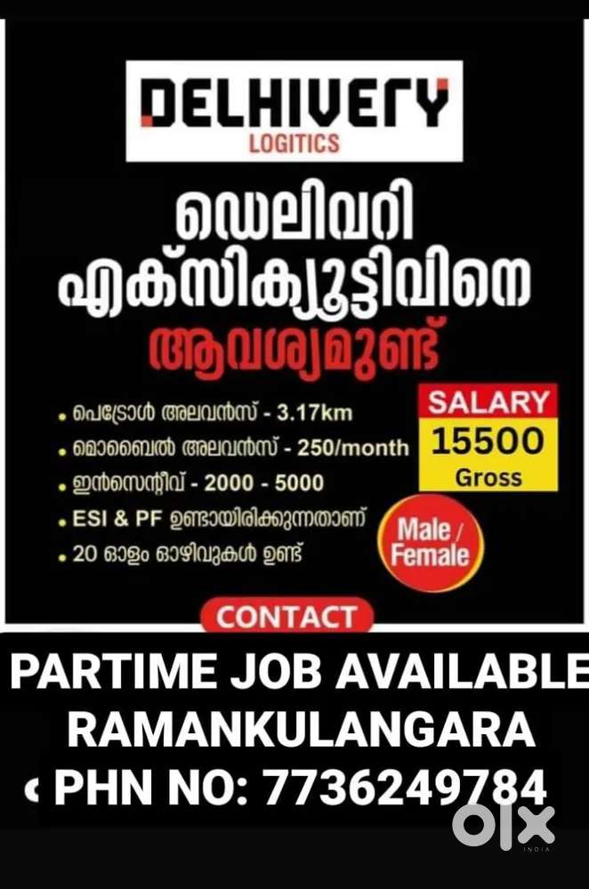 Delivery executive needed