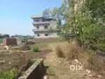 Developer area