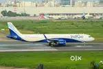 Ground staff jobs huge vacancy open in indigo Airlines urgent hiring